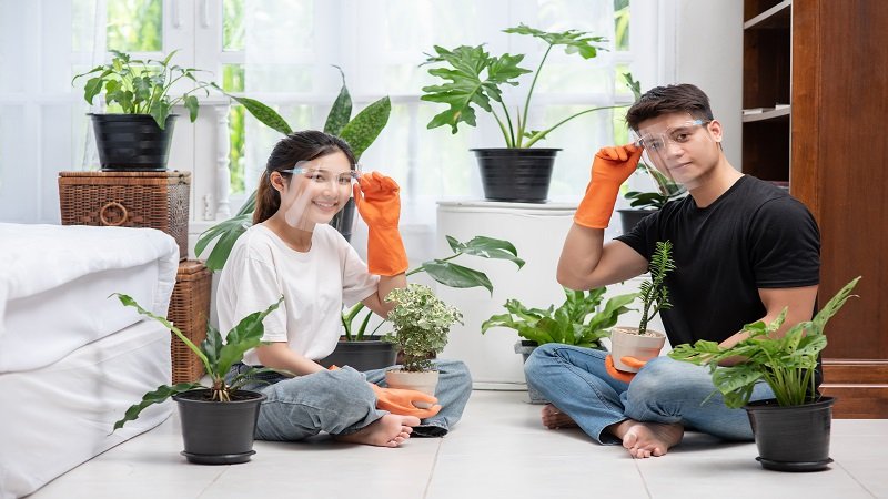 decoradhouse garden tips by decoratoradvice